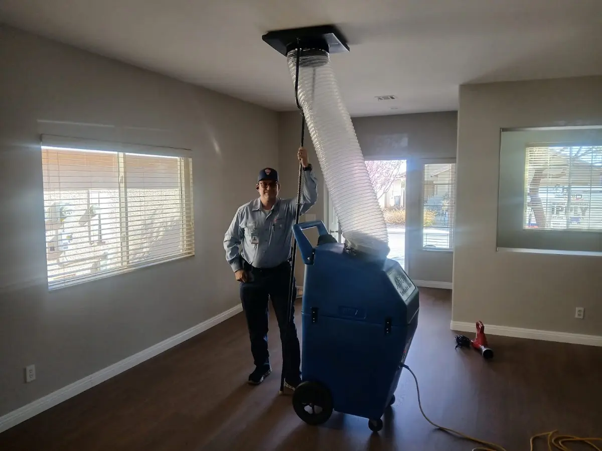 Professional Dryer Vent Cleaning work inside a Dickinson home